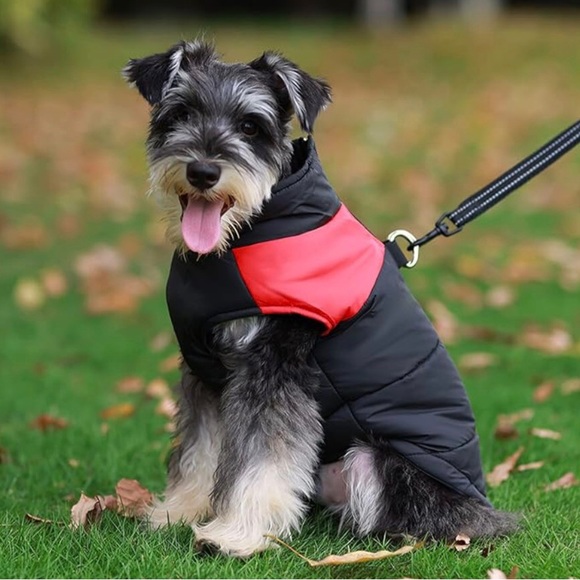 ⭐️Host Pick⭐️ Dog waterproof Vest in Various sizes *See chart for sizing* - Picture 7 of 10